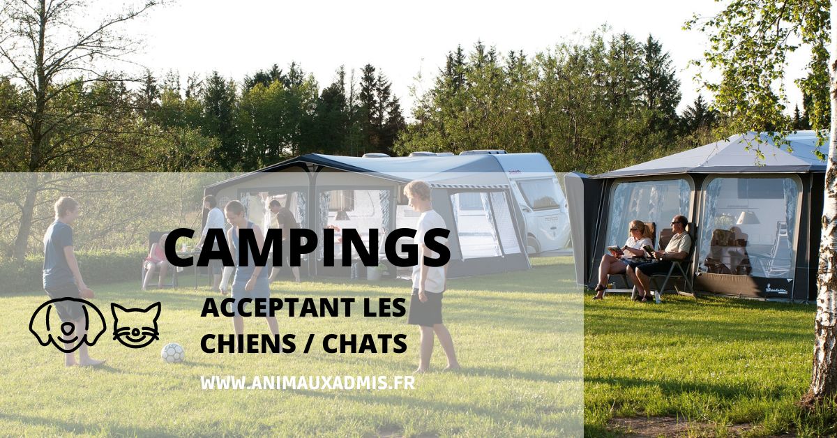 Campings