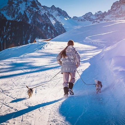 vacances au ski avec un chien
