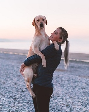 vacances avec un chien